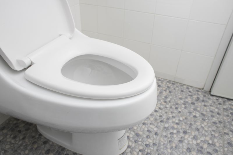 Toilet Replacement detail